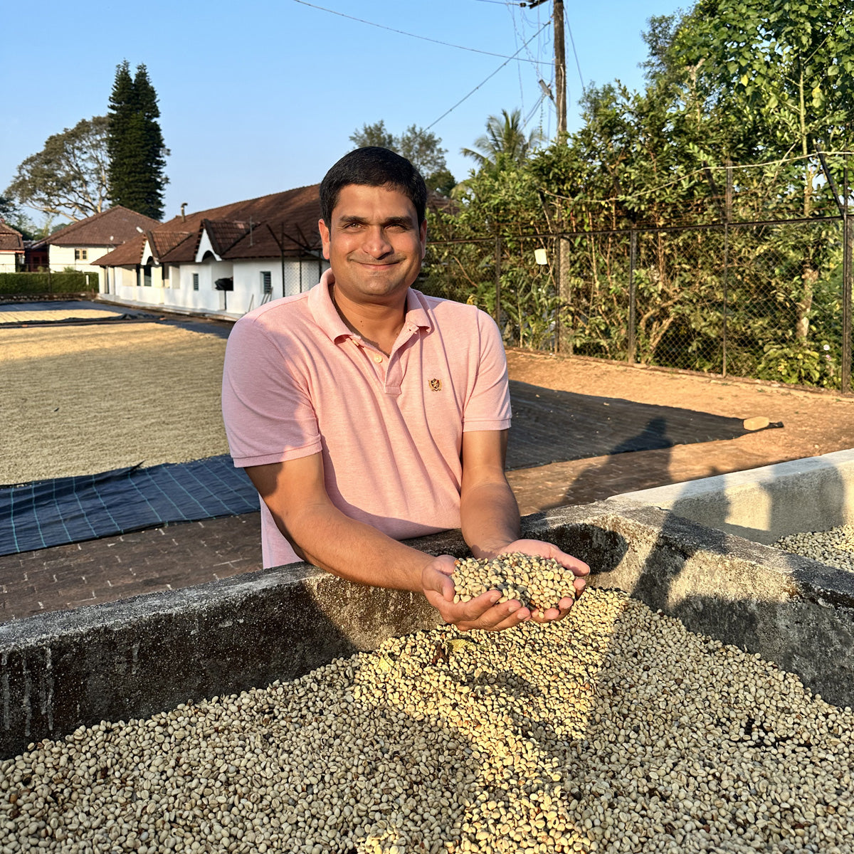 hoysala-indien-washed-kaffee-schwarzwild