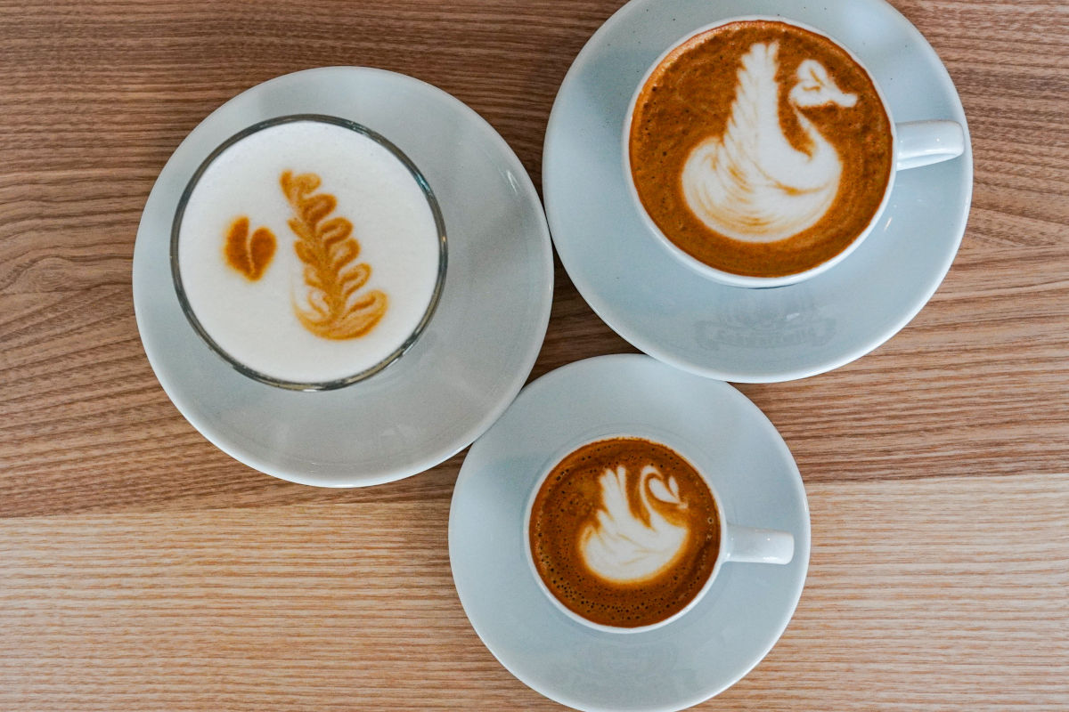 Milch richtig aufschäumen für Latte Art: Temperatur, Konsistenz und Alternativen