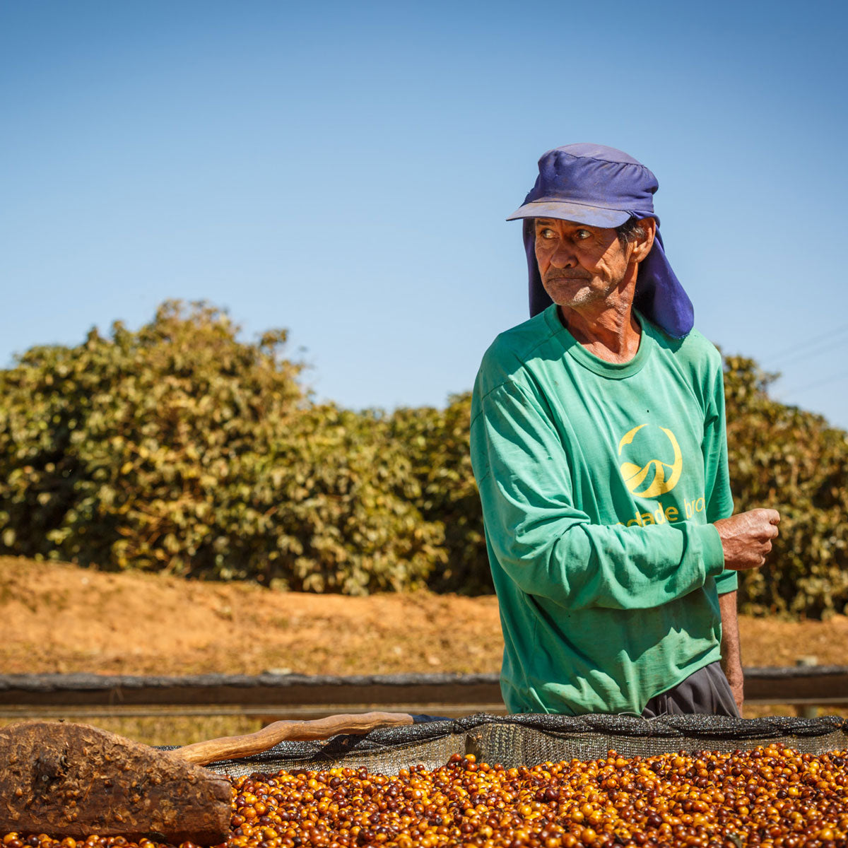Finca-Capim-Branco-Ismael-Andrade