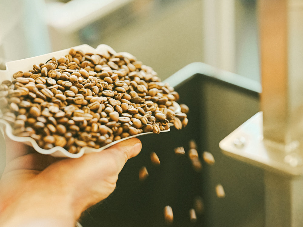 Schwarzwild_Kaffeeroesterei_geschichte_freiburg