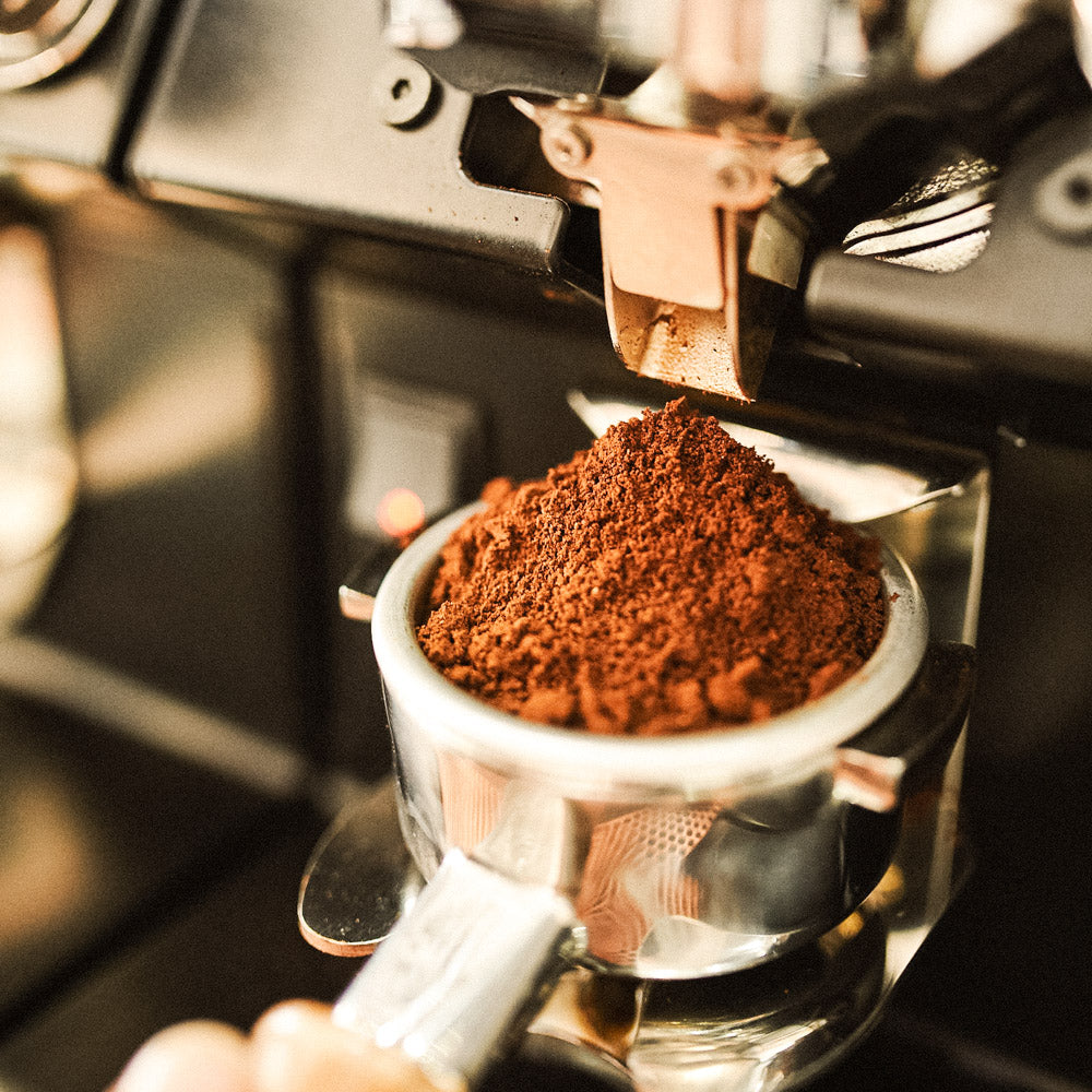 barista_basic_seminar_schwarzwild_kaffeeroesterei