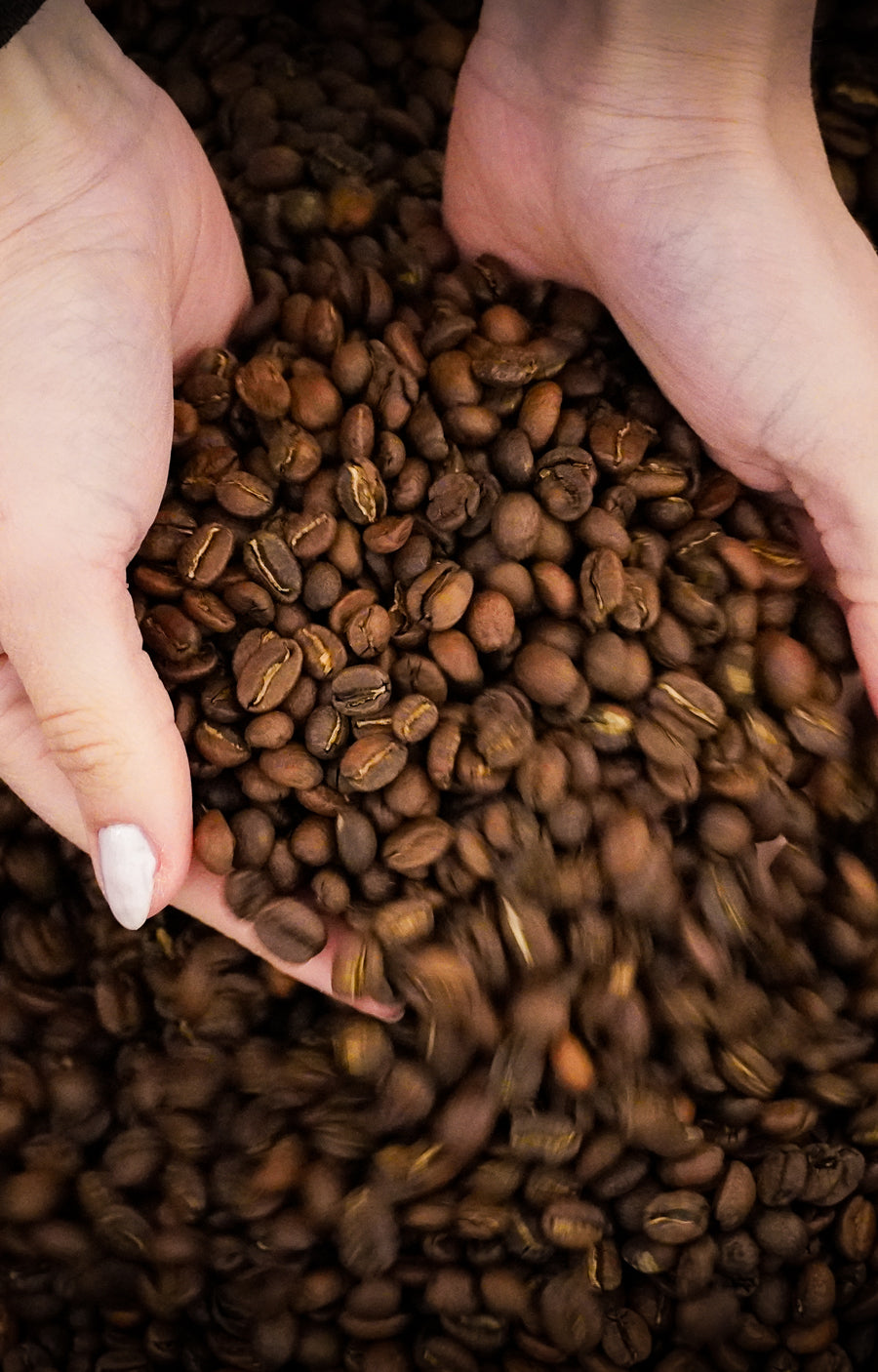vollautomaten-kaffee-schwarzwild-kaffee-freiburg
